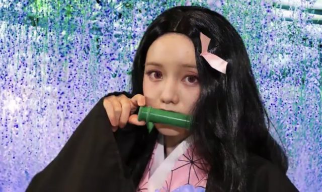 hironakaayaka4
