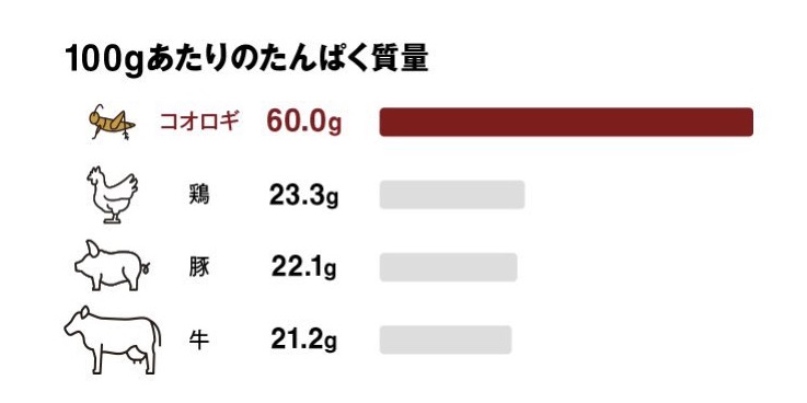 koorogisenbei1