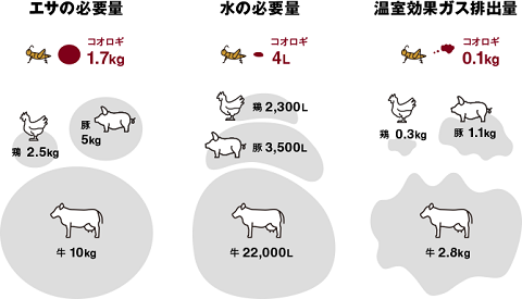 koorogisenbei6jpg