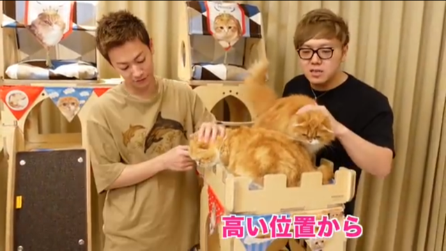 satotakeru4
