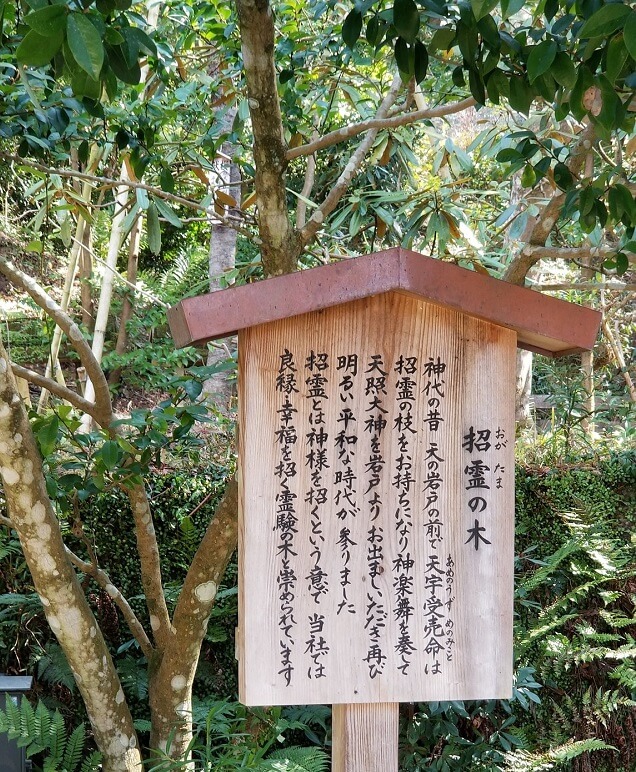 houmangukamadojinja16