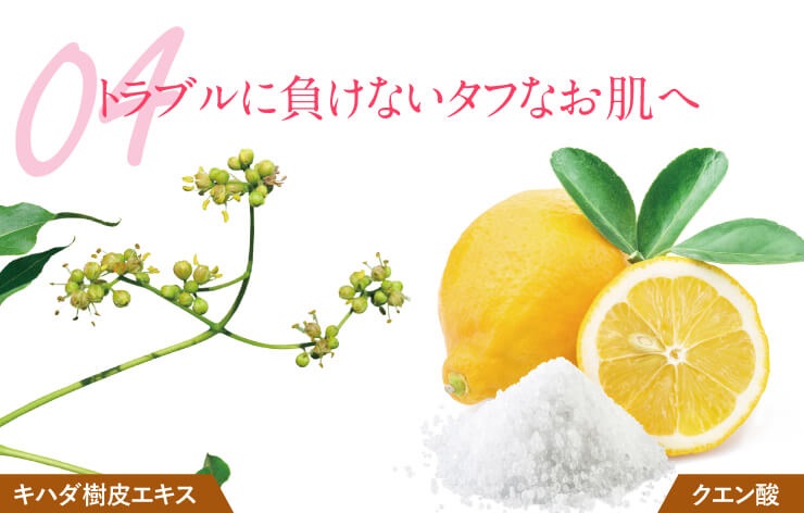 apinanature-kuchikomi10