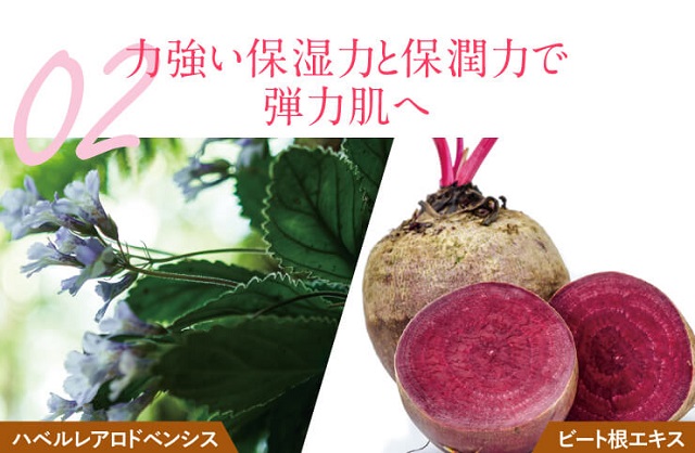 apinanature-kuchikomi4