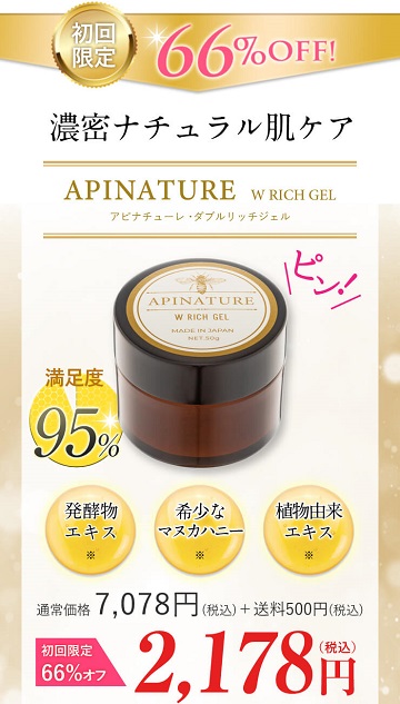 apinachure-kaiyaku1