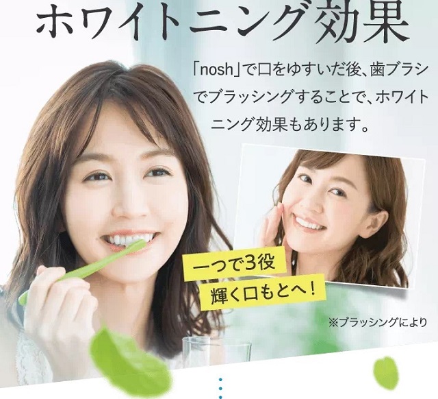 nosh-kuchikomi6